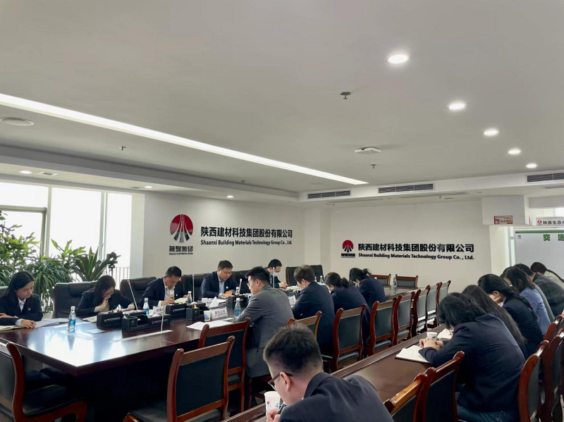 公司召开闲置资产盘活工作专题会